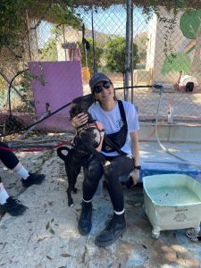 PHOTO-2025-10-30-17-18-22 10